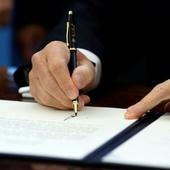 Jihadist groups hail Trump's travel ban as a victory