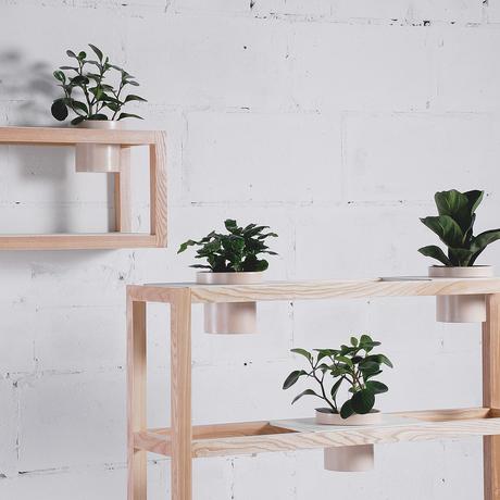 Projet Etudiant : Hanging Garden Planters la console par Dariya Stadnichenko