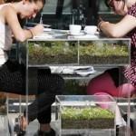 GREEN : FurniBloom, la vie verte dans vos meubles!