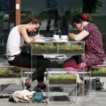 GREEN : FurniBloom, la vie verte dans vos meubles!