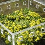 GREEN : FurniBloom, la vie verte dans vos meubles!