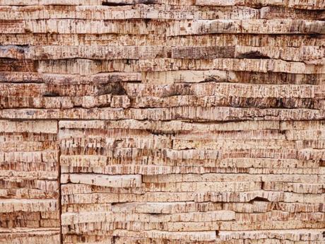 domotex nouveauté revêtement le liège ecologique