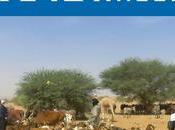 [Faits &amp; Chiffres] CICR, acteur humanitaire Mali