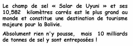 Pays étranger - Le sel en Bolivie