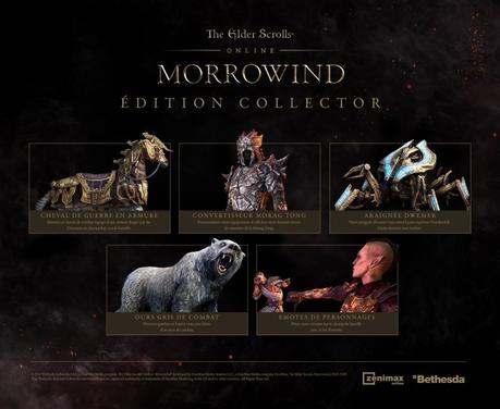 Un collector pour TESO Morrowind