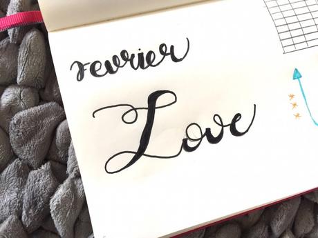 Bullet Journal : mon mois de Février 2017