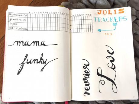 Bullet Journal : mon mois de Février 2017