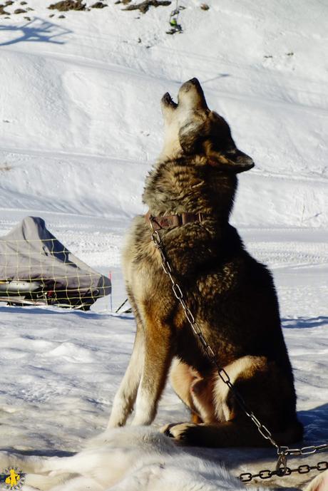 Orcières: activités hors ski… avec des animaux