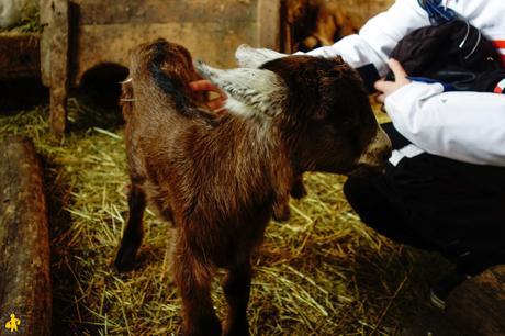 Orcières: activités hors ski… avec des animaux