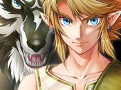 Legend Zelda Twilight Princess Tome