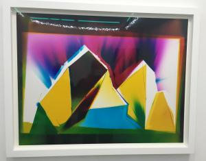 NextLevel Galerie  exposition LIZ NIELSEN  « Force Fields »