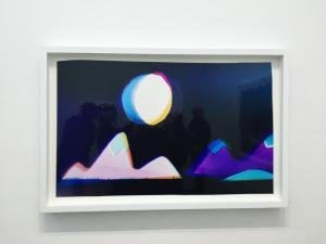 NextLevel Galerie  exposition LIZ NIELSEN  « Force Fields »