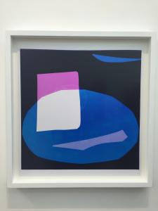 NextLevel Galerie  exposition LIZ NIELSEN  « Force Fields »