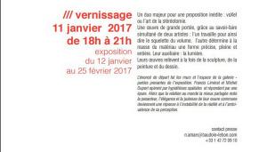 Galerie Baudoin Lebon  exposition voXel jusqu’au 25 Février b2017