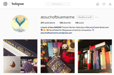 [Bilan mensuel] • Janvier • 2017/01