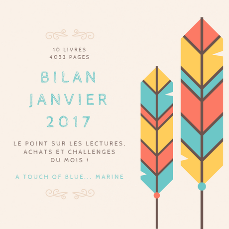 [Bilan mensuel] • Janvier • 2017/01