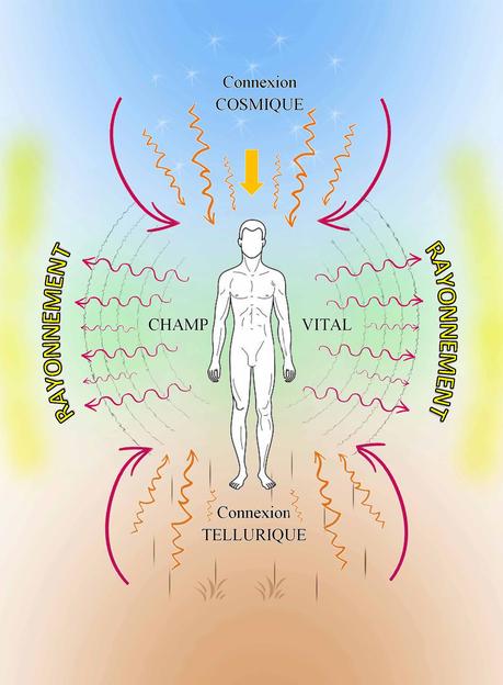 Chi-machine-energie-vitale-terrezen