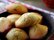 Madeleines citron/vanille Philippe Conticini