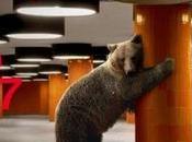 Cinéma édition Berlinale