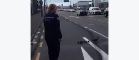 La police aide une famille de canards à traverser la route
