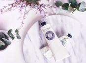 mains l’hiver solution karité