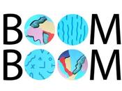 Découverte Boom