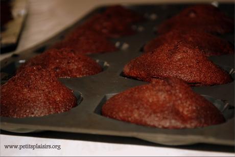 Madeleines aux double chocolat