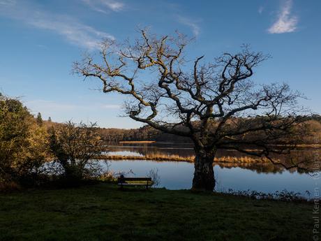 Clohars-Carnoët : après la grande houle sur la côte, le calme plat sur la Laïta (3 photos)