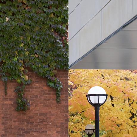 Photo non retouchée