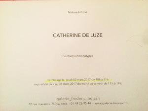 Galerie fredric-Moisan  exposition  Catherine de Luze  02 Mars au 31 Mars 2017