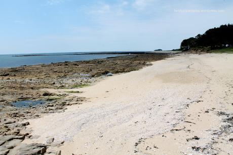 Le golfe du Morbihan entre pierres et mer