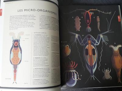 Les merveilles de la nature ♥ ♥ ♥