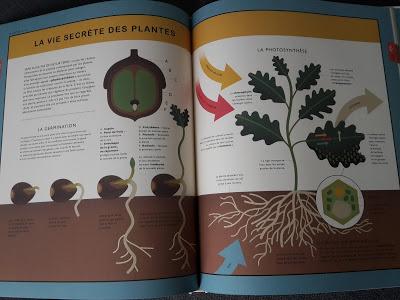 Les merveilles de la nature ♥ ♥ ♥