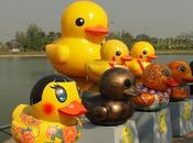 Udon-Thani, canards, coqs, spiderman, etc...diapo musicale