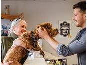 choix "social&amp;quot; chien