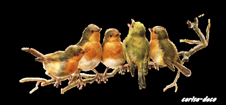 design : arrivée du printemps