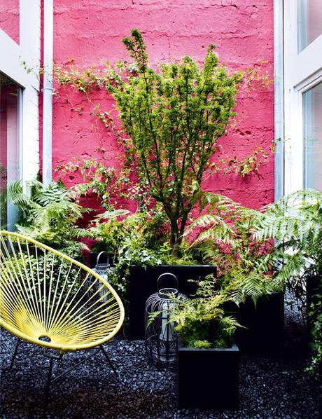 Collectif Project Inside / Des patios hauts en couleur /