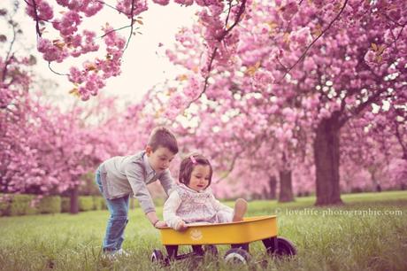 photo bébé fille sous les cerisiers en fleurs
