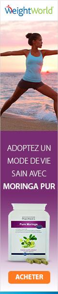 19 Avantages du Moringa pour une bonne santé 19 Avantages du Moringa pour une bonne santé