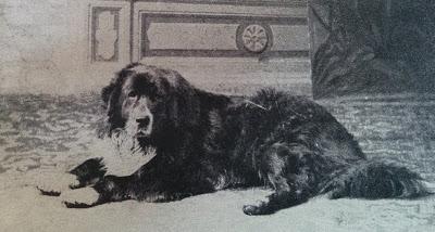 Ruß, Marke, Fasolt et Fafner, quatre chiens de Richard Wagner