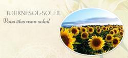 Langage tournesol