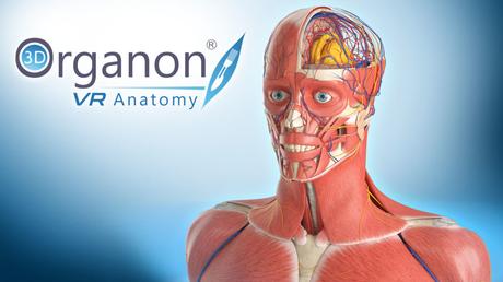 Étudiants et praticiens peuvent désormais étudier l’anatomie en réalité virtuelle