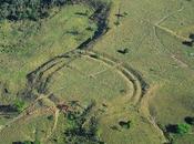 centaines géoglyphes sous forêt amazonienne