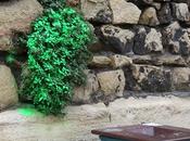 Metre coulour dins vido