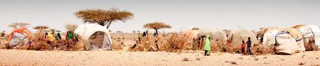 [VIDÉO] Somalie : le CICR vient en aide à 240 000 personnes victimes de la sécheresse