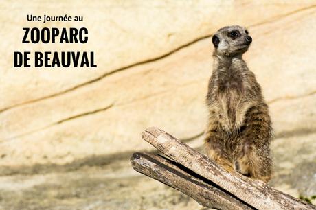 Une journée au ZooParc de Beauval
