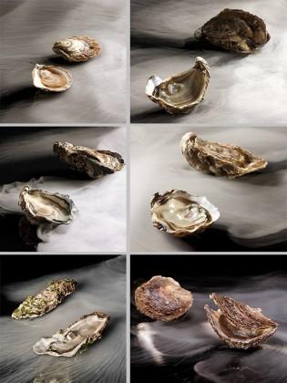 12241587_999178446822085_2850588378514724797_n