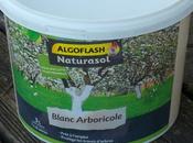 Badigeon blanc arboricole