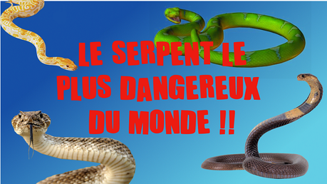 record plus dangereux serpent du monde