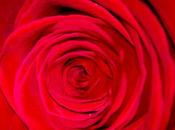 Amour Noir&amp;Blanc Love Black&amp;White